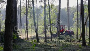<strong>砍伐</strong>森林的现代设备，森林收割机.